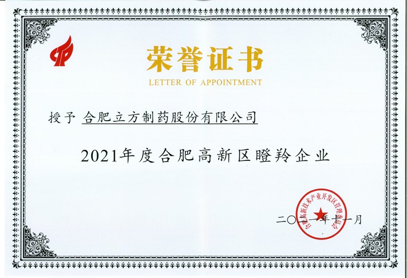 2021年度岳阳高新区瞪羚企业.jpg